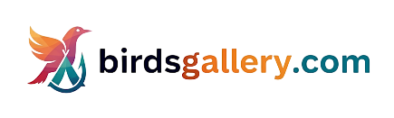 Birdsgallery